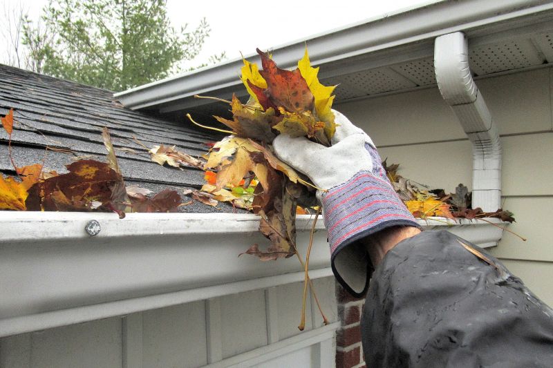 Clogged Gutter Clearing in Fredericksburg, VA